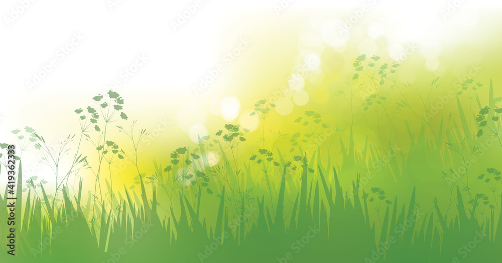 Canvas Prints vector green grass, nature background. spring bokeh background.