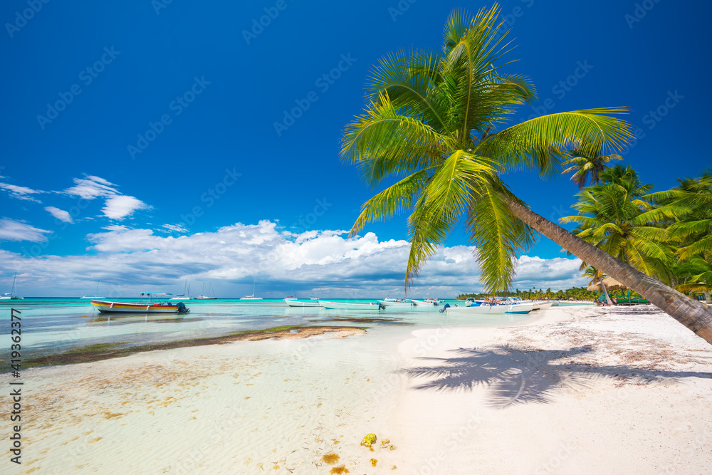 Wall mural palmtree and tropical beach, nature landscape of paradise island in the ocean