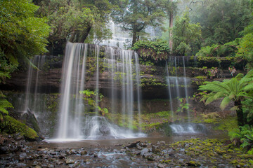 Obraz premium Beautiful , cascading , Russell Falls. Mount Field National Park .A World Heritage Site. Central Highlands of Tasmania. Australia.