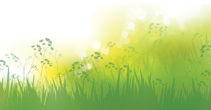 Vector green grass, nature background. Spring  bokeh background.