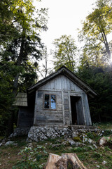 Fototapeta na wymiar Wooden cabin in the woods at Tara mountain in Serbia