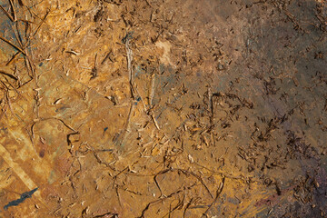 Abstract background in the colors of autumn.