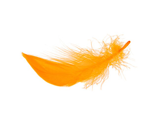 Orange fluffy feather isolated on the white background