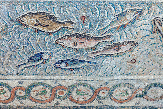 Floor mosaics from the Southern Pastophorion (pastophoria) in the Basilica of Doumetios in ancient Nicopolis (Nikopoli), in Preveza, Epirus, Greece