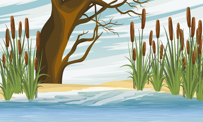 Lake shore with reeds and a large old deciduous tree. Sandy shore of the pond. Vector realistic landscape. © AnnstasAg