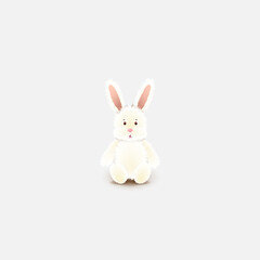 white rabbit isolated on white background