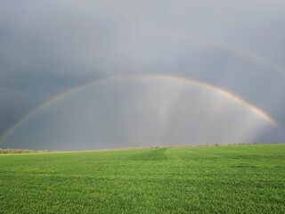 Naklejka premium rainbow over field