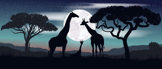 Colorful vector. Family of giraffes. Safari.