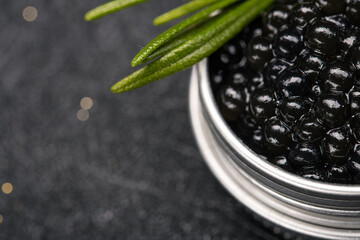 Black fish caviar with rosemary branch
