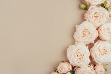 Spring background. Rose flowers on a beige background. Flat lay. Copy space for your text.