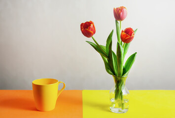 Obraz na płótnie Canvas Three tulips stand in a small glass vase on the table next to a yellow mug