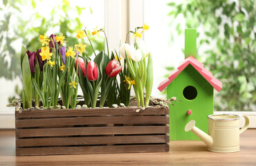 Beautiful spring flowers in wooden crate with watering can and birdhouse on window sill