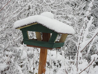 Grünes Holzhaus zur Fütterung von Vögeln im Winter