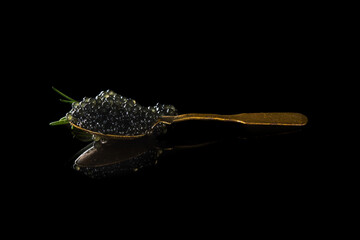 Black beluga caviar on a spoon