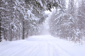Beautiful winter snowy road in the forest. Background. Scenery.