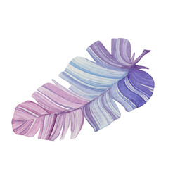 Delicate striped feather in pink and purple stripes