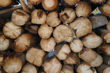 Pile of firewood.