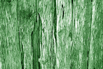 Fototapeta premium Weathered old grungy wooden surface in green tone.