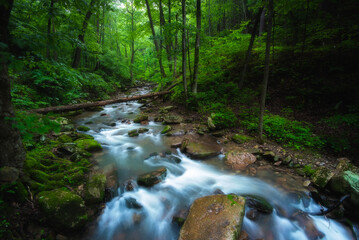 The creek leading to Roaring Run Falls on a misty morning in Eagle Rock, Virginia.