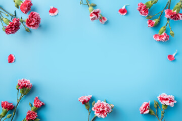 Concept of Mother's day holiday greeting gift with carnation bouquet on bright blue table background