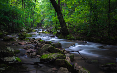 Obraz premium A creek leading to Roaring Run Falls on a calm and misty morning in Virginia.