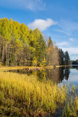 Autumn view of Liesjarvi National Park and Lake, Tammela, Finland