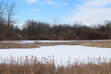 The peaceful frozen pond in the park on a sunny day.
