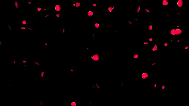 Loop animation of a landscape with red rose petals dancing around.