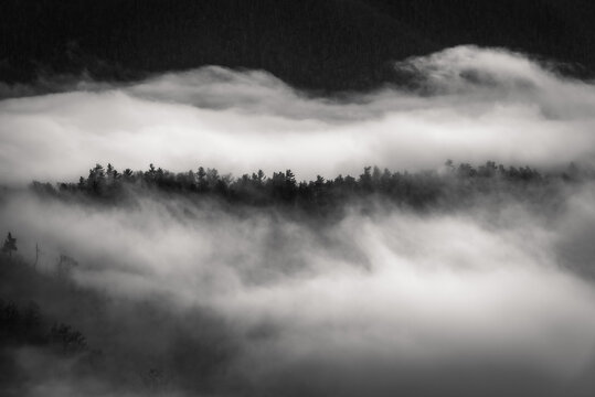 A ridge line of trees pokes out through the fog in Shenandoah National Park on a dreary winter day.