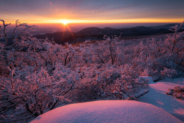 An icy sunrise in Shenandoah National Park as the golden light illuminates the rime ice covered forests at the higher elevations of the park.