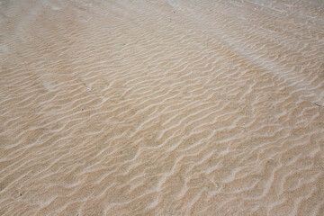 sand texture at the beach in summer at Perellonet, Passeig De Les Goles