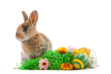 Cute dwarf rabbit with Easter motif on a white background.
