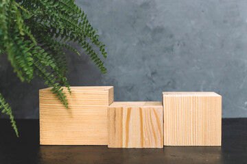 Natural mockup of moss,wood, tree bark and fern for cosmetics on black and grey background.