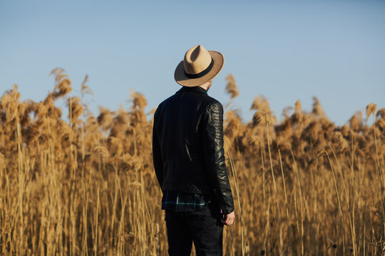 Back view of stylish man in black jacket and hat on a background of fluffy dry reeds and blue sky on a sunny day. Beautiful natural background. - Powered by Adobe