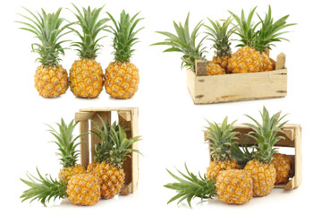 fresh mini pineapple fruit in a wooden box on a white background