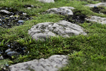 Grass and stones at a cliff.