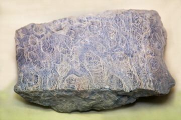 Fossilized calcareous formations of algae stromatolites (Latin: inzeria tjomusi) of blue color on a white background. Paleontology, Late Riphean fossils. © Victor1153