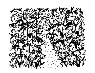 Hand-drawn black and white vector doodle drawing. Overgrown forest path, jungle, thickets of wild plants. Walk, exit, dead end.