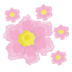 Pink watercolor flowers on white background