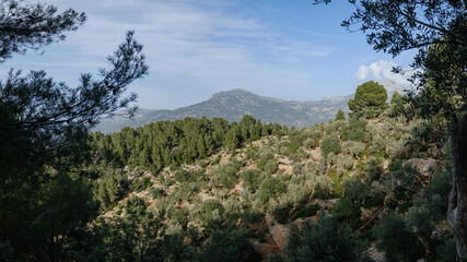 Fototapeta na wymiar camino de Ses Tres Creus, Soller, Mallorca, Balearic Islands, Spain