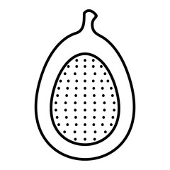Vector Fig Outline Icon Design