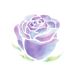 水彩風の紫の薔薇　