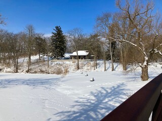 winter in the park