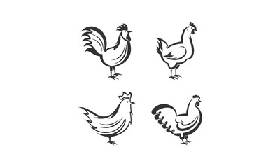 Fototapeta na wymiar Simple chicken set illustration vector design