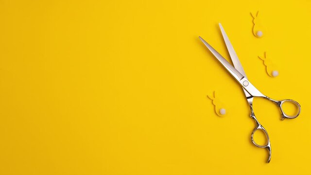 Stop motion animation template flat lay of professional hair cutting shears and bunnies on yellow background Hairdresser salon equipment concept with copy space Selfcare Easter holidays lockdown time