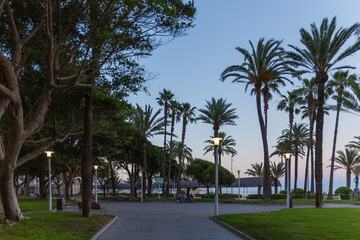 Fototapeta na wymiar palm trees at sunset near the beach