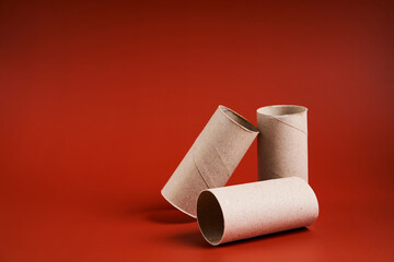 An empty cardboard toilet paper tube close up