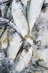 Fresh seafood sell in market group of fish squid crab and shrimp