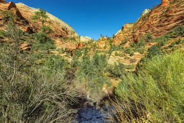 Beautiful landscapes, views of incredibly picturesque rocks and mountains in Zion National Park, Utah, USA