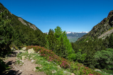 a view down a steep valley in the french Pyrenees across to the mountains